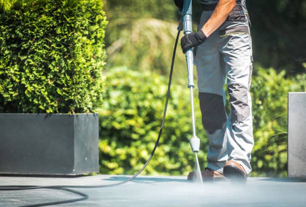 Best Roof Washing  in Rosebud, SD