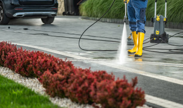 Best Driveway Pressure Washing  in Rosebud, SD